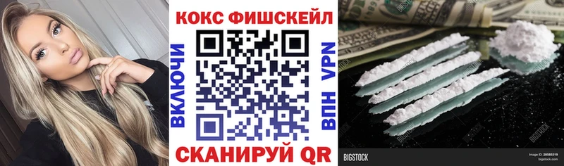 Кокаин FishScale  Купить закладки  Никольск 