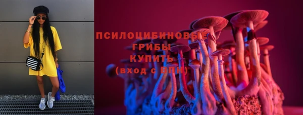 дурь Кинешма